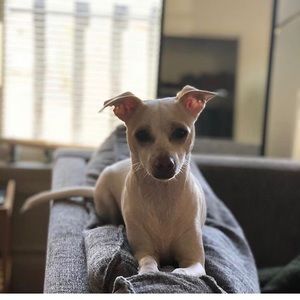 Meet your Posher, Lauren